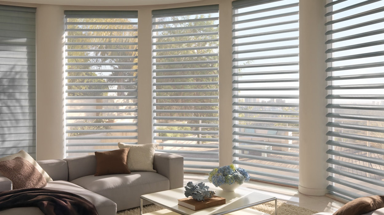 Hunter Douglas Blinds