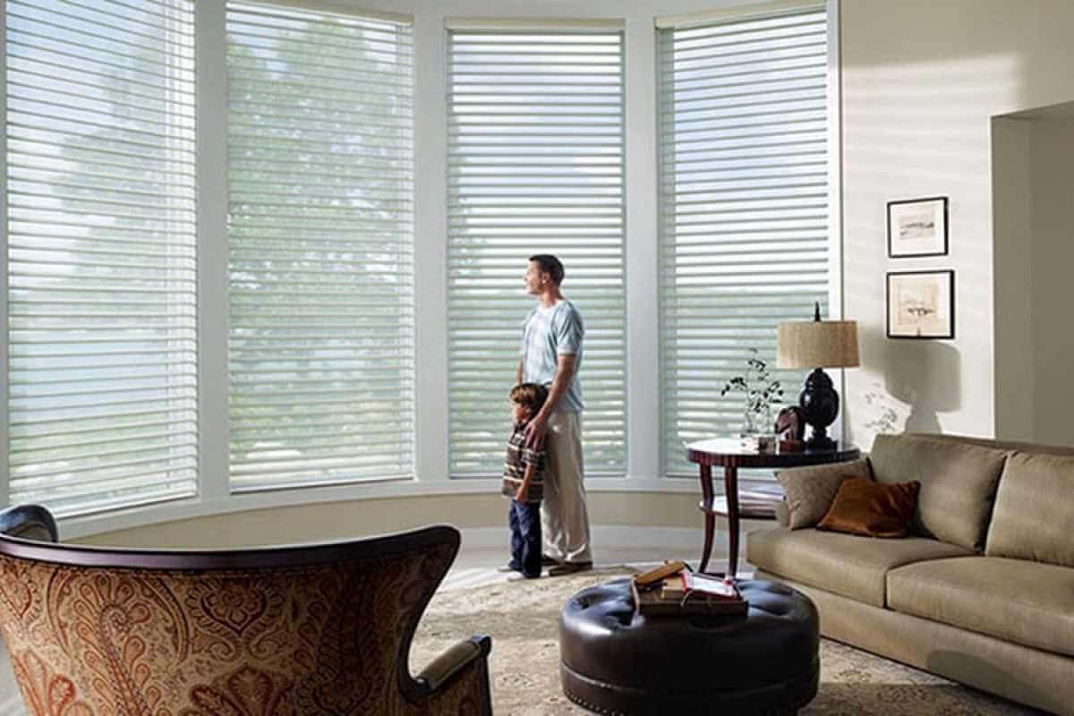 Sheer Window Shades