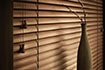 Horizontal Blinds