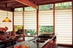 Honeycomb Shades